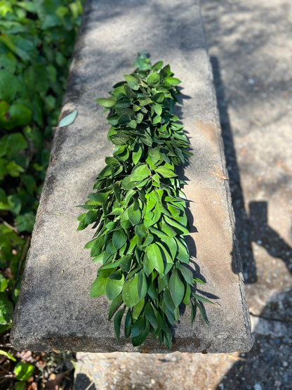 Fresh Ruscus Garland