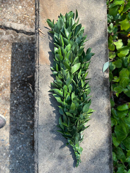 Fresh Ruscus Garland
