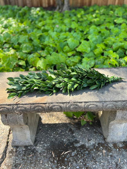 Fresh Ruscus Garland