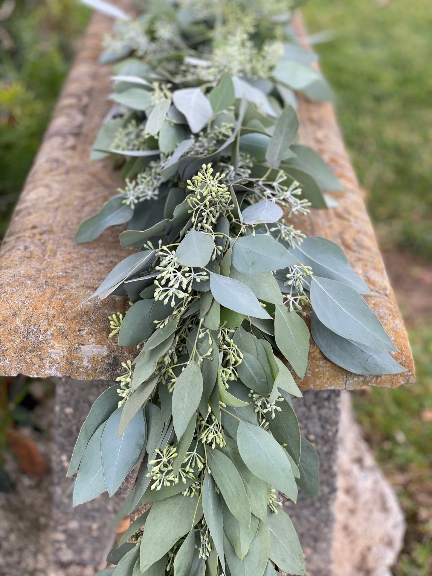 Fresh Seeded Eucalyptus Garland