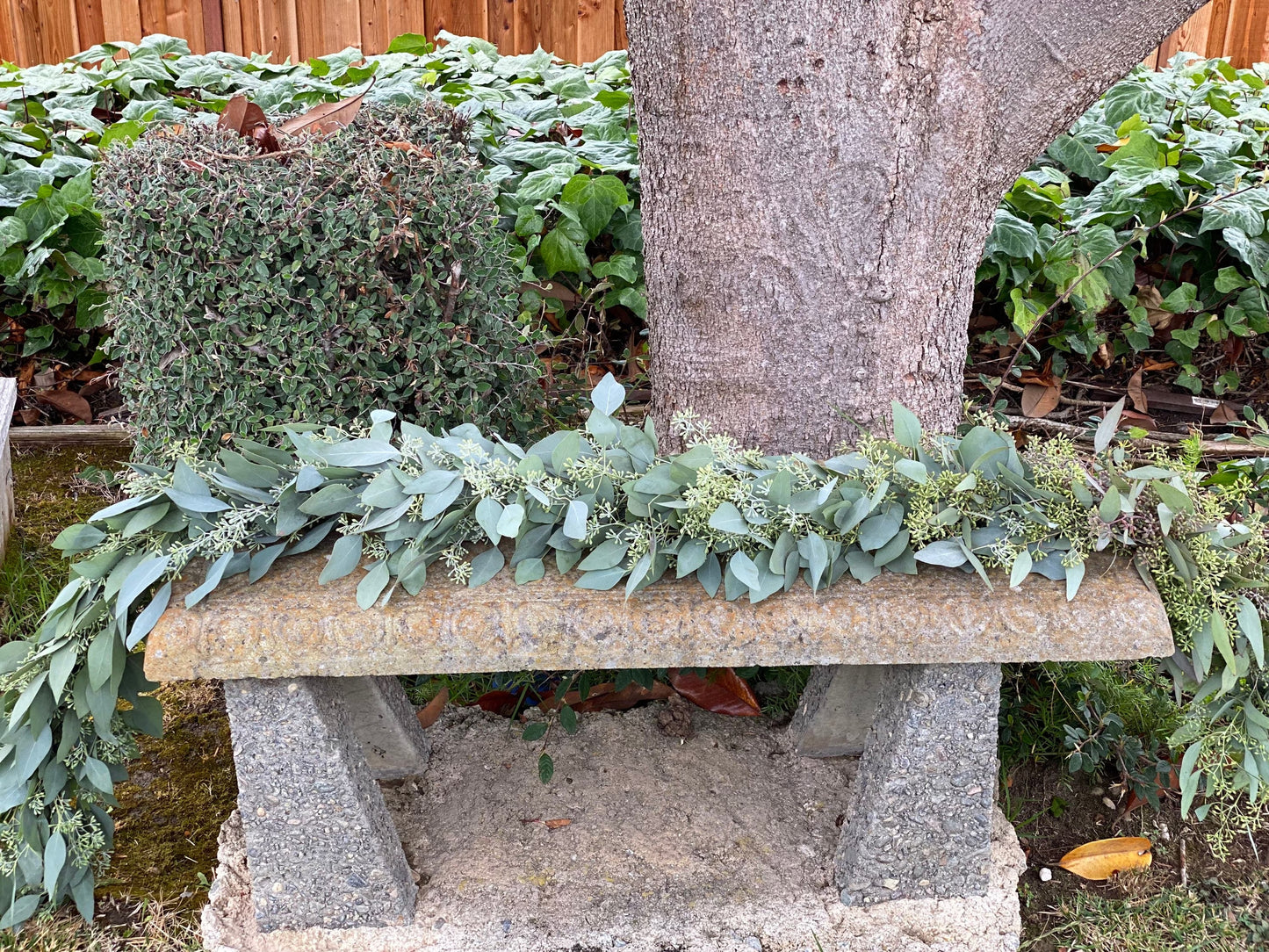 Fresh Seeded Eucalyptus Garland