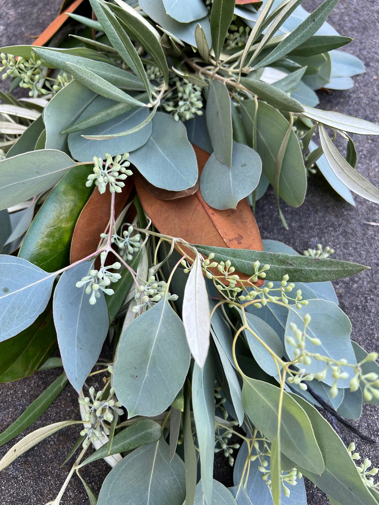 Fresh Magnolia, Olive, and Seeded Eucalyptus Garland