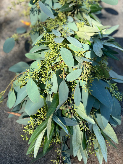 Fresh Seeded Eucalyptus and Olive Garland
