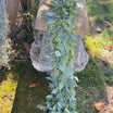 Fresh Seeded and Silver Dollar Eucalyptus Garland