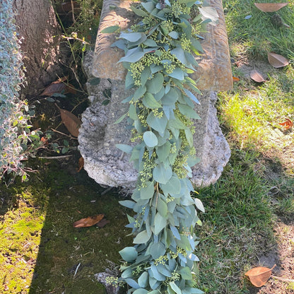 Fresh Seeded and Silver Dollar Eucalyptus Garland
