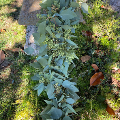Fresh Seeded and Silver Dollar Eucalyptus Garland