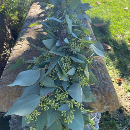 Fresh Seeded and Silver Dollar Eucalyptus Garland