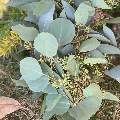 Fresh Seeded and Silver Dollar Eucalyptus Garland