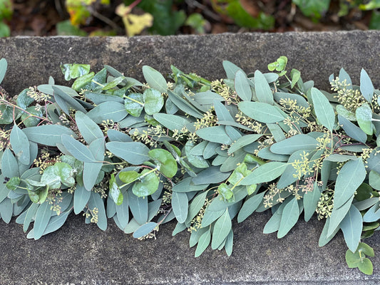 Spiral and Seeded Eucalyptus Garland