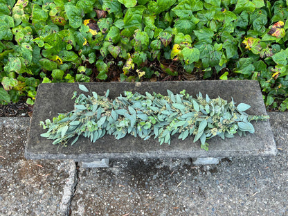 Spiral and Seeded Eucalyptus Garland