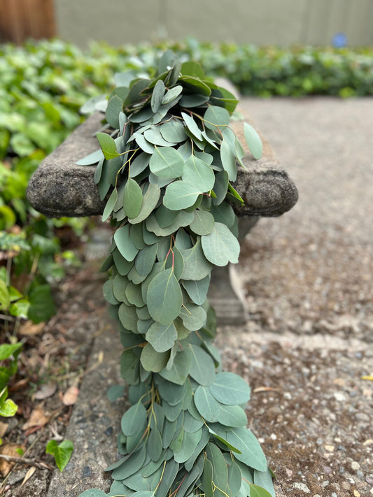 Fresh Silver Dollar Eucalyptus Garland