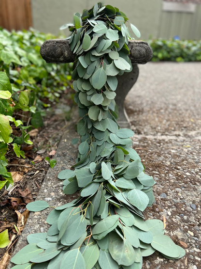 Fresh Silver Dollar Eucalyptus Garland
