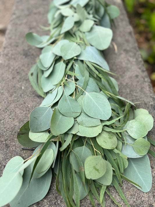 Fresh Willow and Silver Dollar Eucalyptus Garland