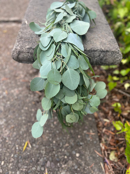 Fresh Willow and Silver Dollar Eucalyptus Garland