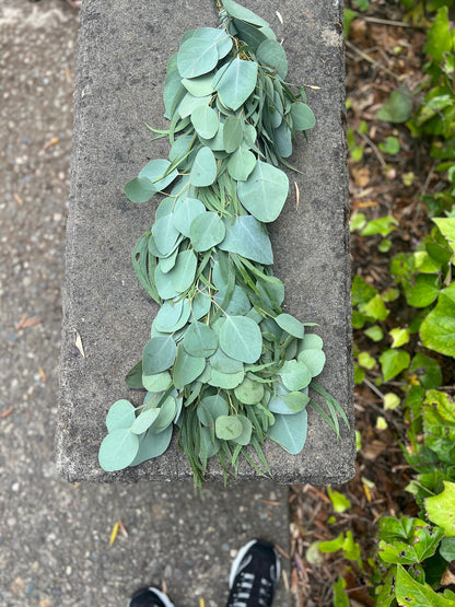 Fresh Willow and Silver Dollar Eucalyptus Garland