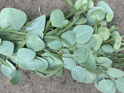 Fresh Willow and Silver Dollar Eucalyptus Garland