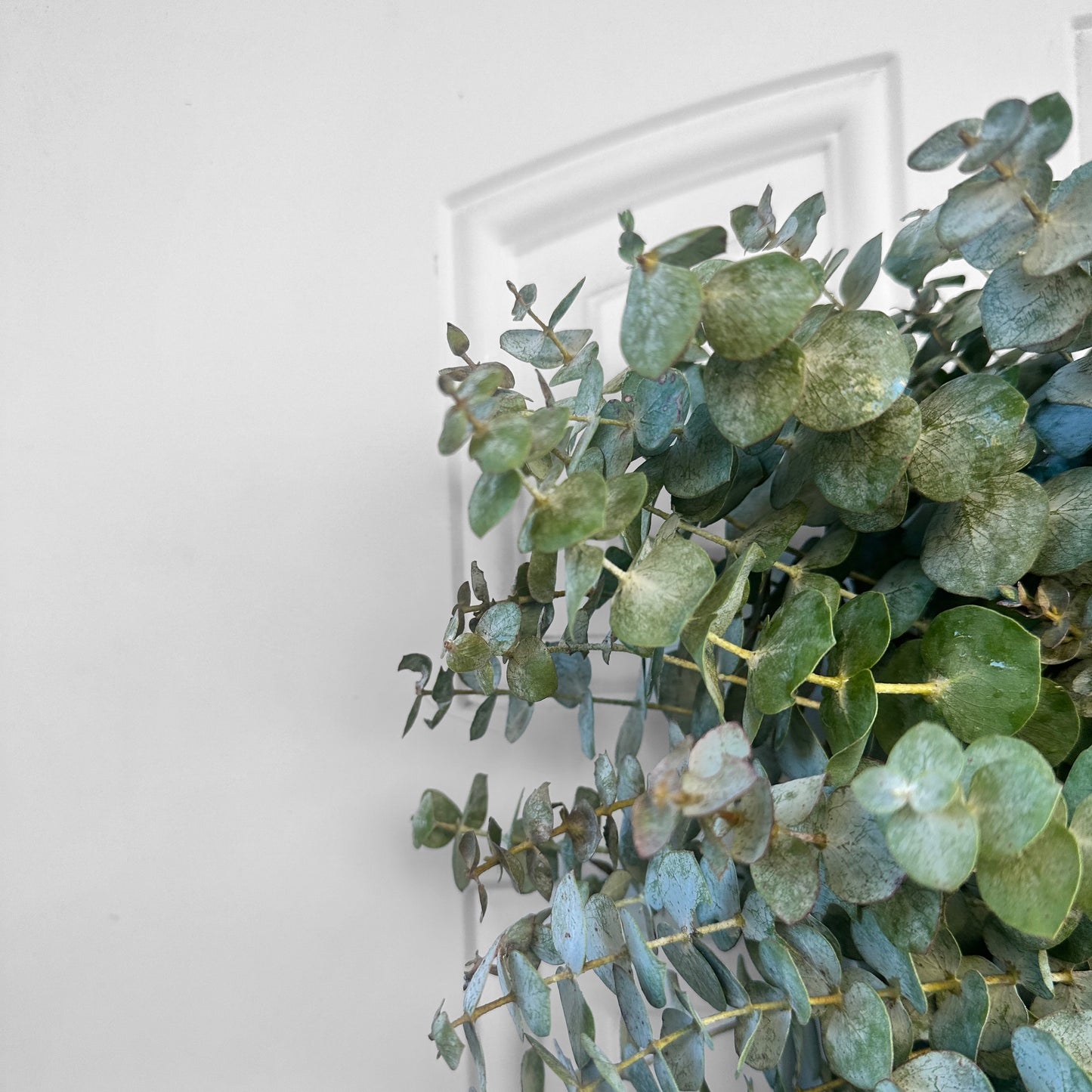 Spiral Eucalyptus Heart Wreath