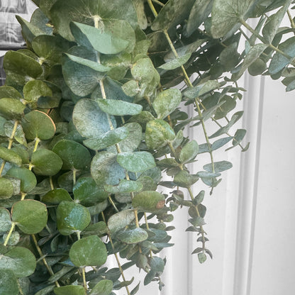 Spiral Eucalyptus Heart Wreath
