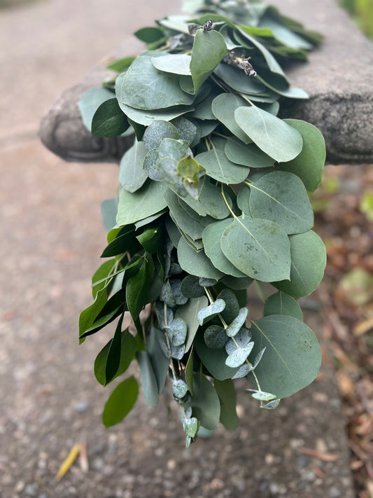 Fresh Ruscus, Spiral Eucalyptus, and Silver Dollar Eucalyptus Garland