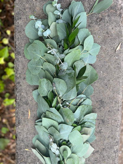 Fresh Ruscus, Spiral Eucalyptus, and Silver Dollar Eucalyptus Garland