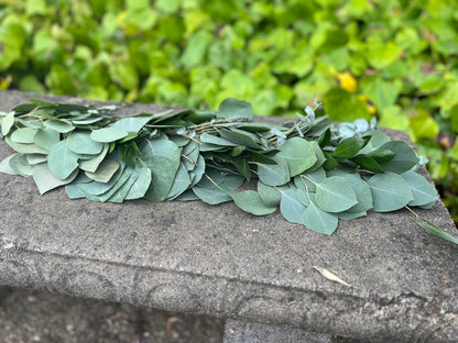 Fresh Ruscus, Spiral Eucalyptus, and Silver Dollar Eucalyptus Garland