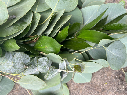 Fresh Ruscus, Spiral Eucalyptus, and Silver Dollar Eucalyptus Garland
