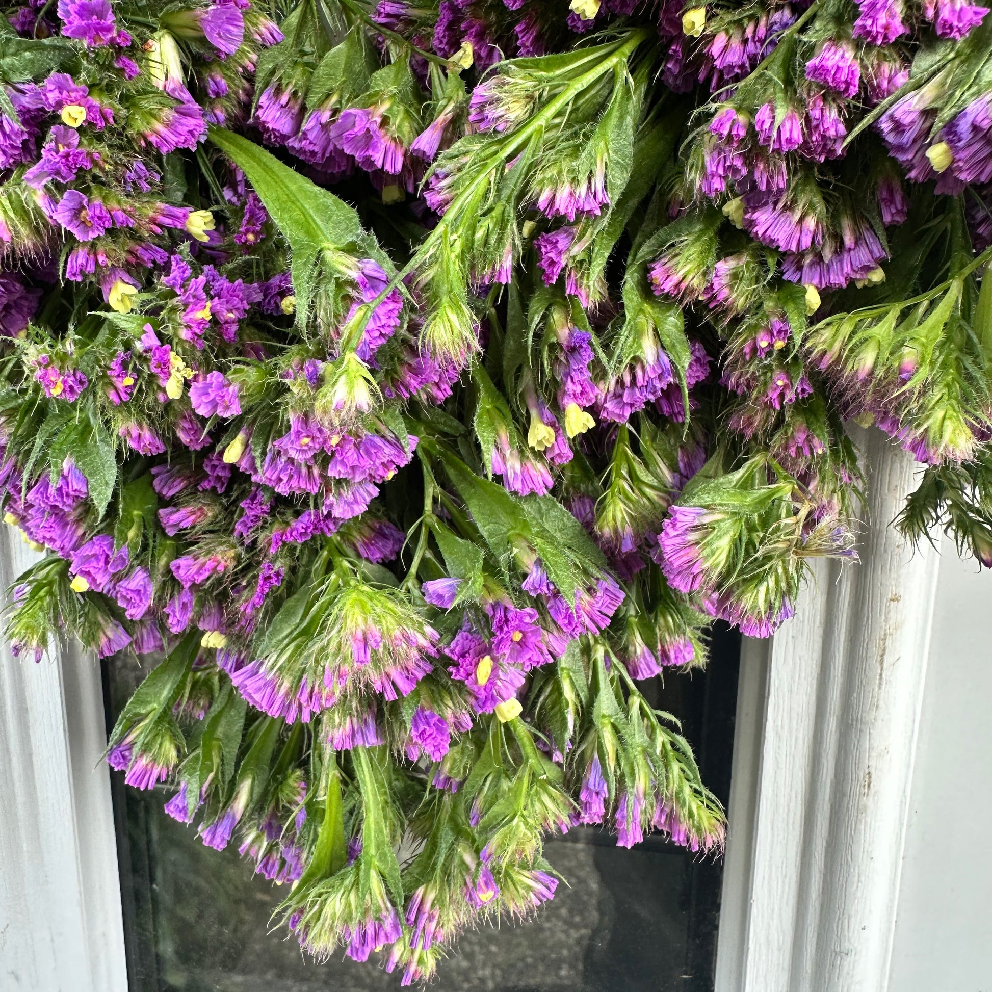 close up of bottom half of purple statice heart wreath hung against a white door