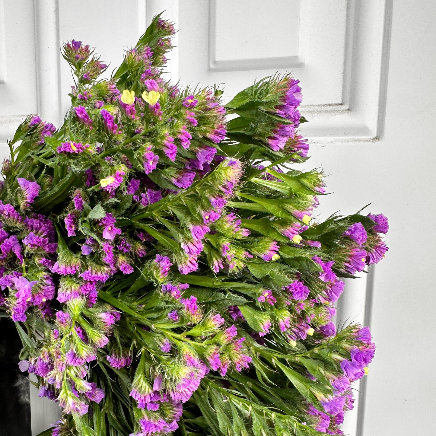 close up of right side of purple statice heart wreath hung against a white door