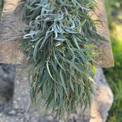 Fresh Willow Eucalyptus Garland