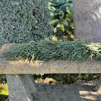 Fresh Willow Eucalyptus Garland