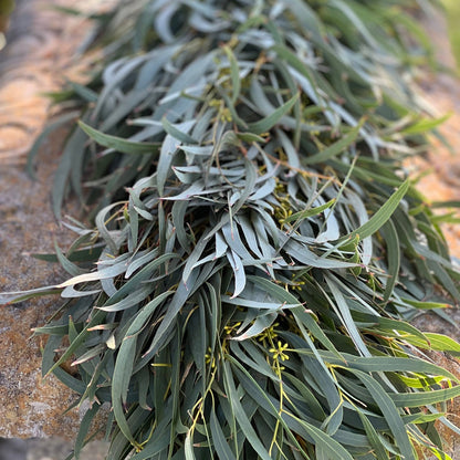 Fresh Willow Eucalyptus Garland