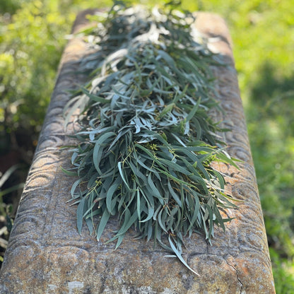 Fresh Willow Eucalyptus Garland