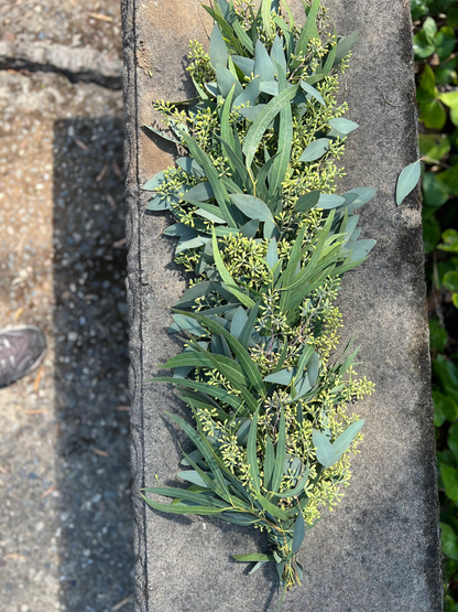 Fresh Seeded and Willow Eucalyptus Garland
