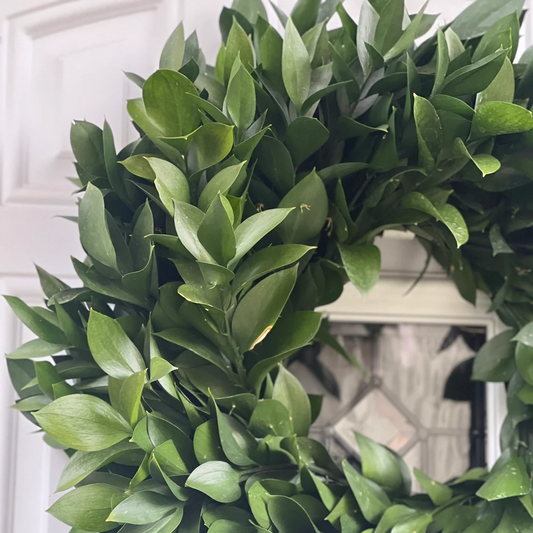 Fresh Ruscus Greenery Wreath