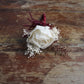 Red Velvet Cake Sola Flower Boutonniere