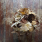 Tan and Chocolate Sola Flower Bouquet // "Vanilla Latte" Wood Flower Bouquet, Keepsake Wood Flower Wedding Bouquet, Bridal Bouquet