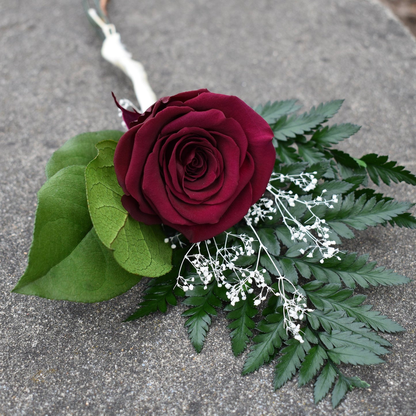 Preserved Rose Flower Single Stem