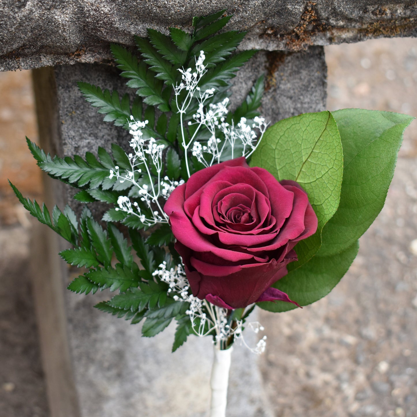 Preserved Rose Flower Single Stem