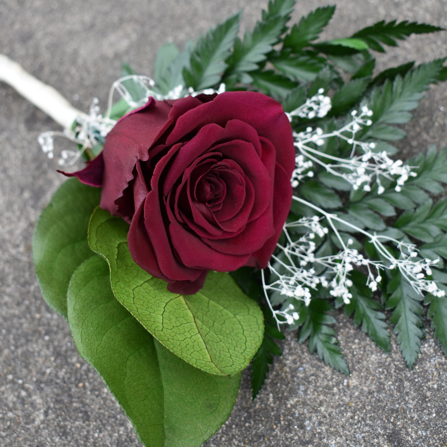 Preserved Rose Flower Single Stem