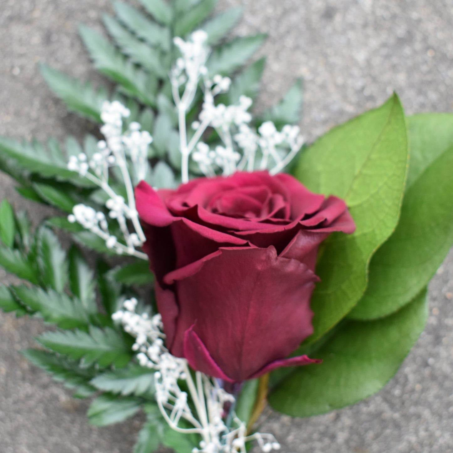 Preserved Rose Flower Single Stem