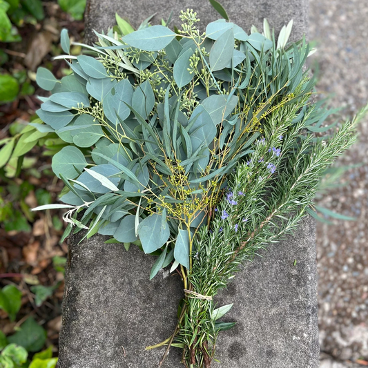 Fresh Assorted Eucalyptus and Greenery Sampler Bunch